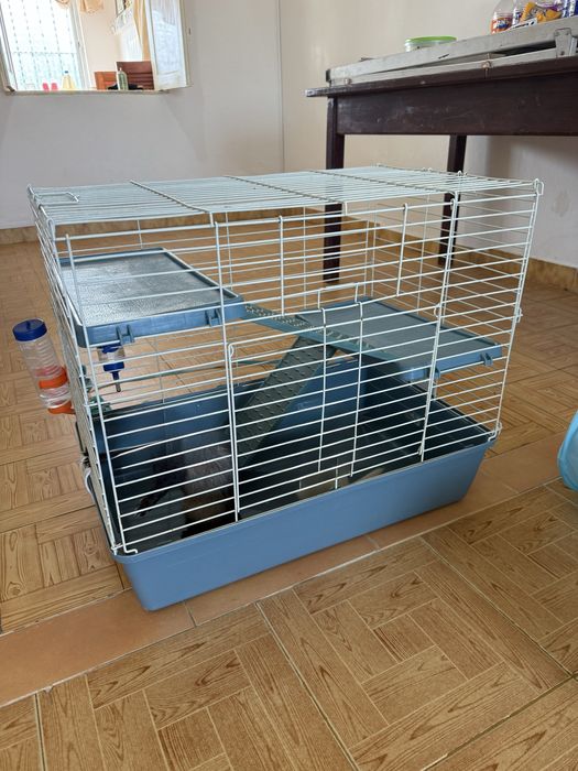 Gaiola senova foi usada poucas vez