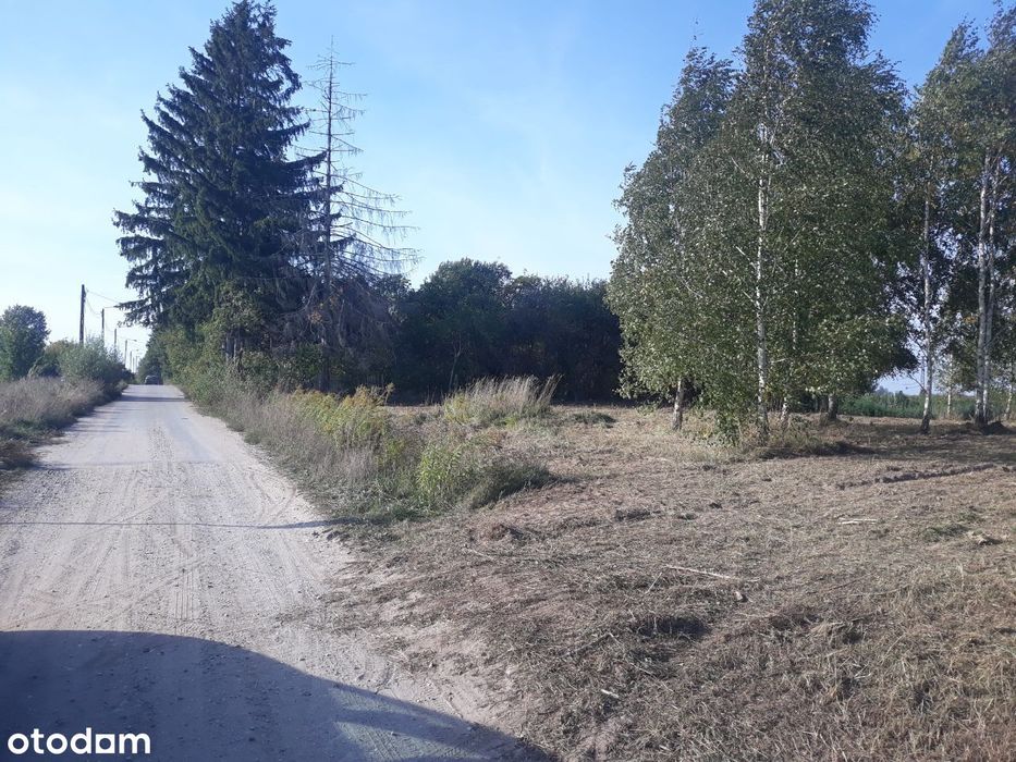 Działka Rolna 3200 m² Warmia-Mazury - View 5