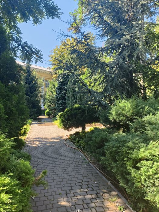 Сдам дом  Французский бульвар.СВЕТ Есть Всегда