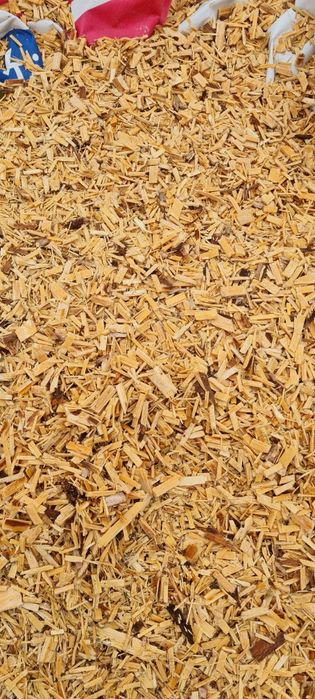 Zrębka świerk, sosna