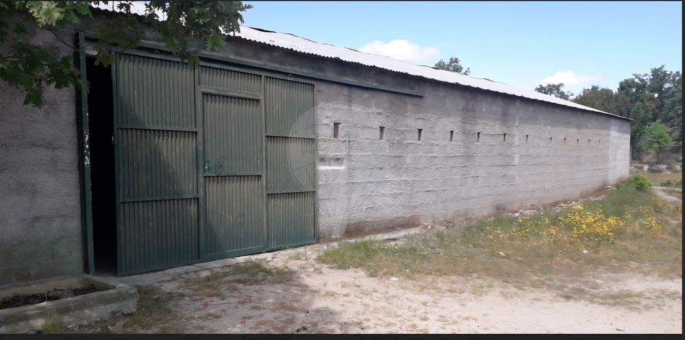 Oportunidade Única Quinta de Sonho com 14,5 Hectares na Histórica Vila