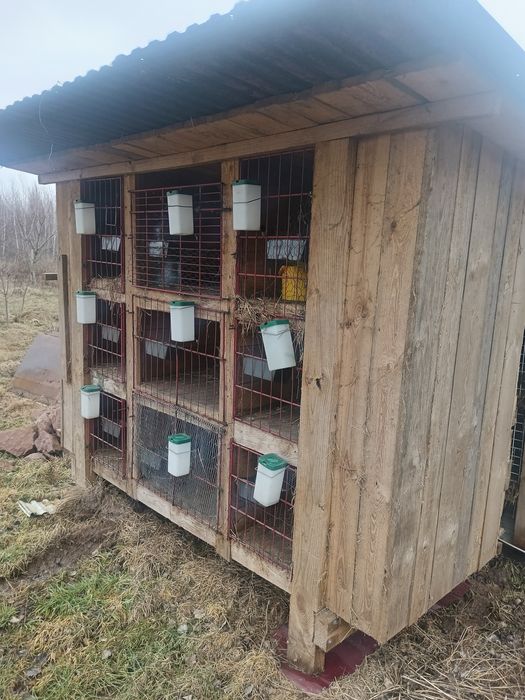 Klatki dla królików