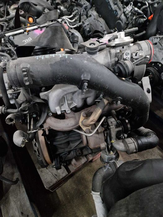 Motor VW/Audi/Seat/Skoda 1.9 TDI Ref: BJB 105 cavalos