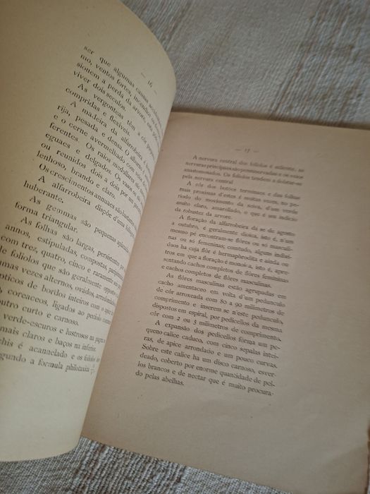 A cultura da Alfarrobeira livro de 1900