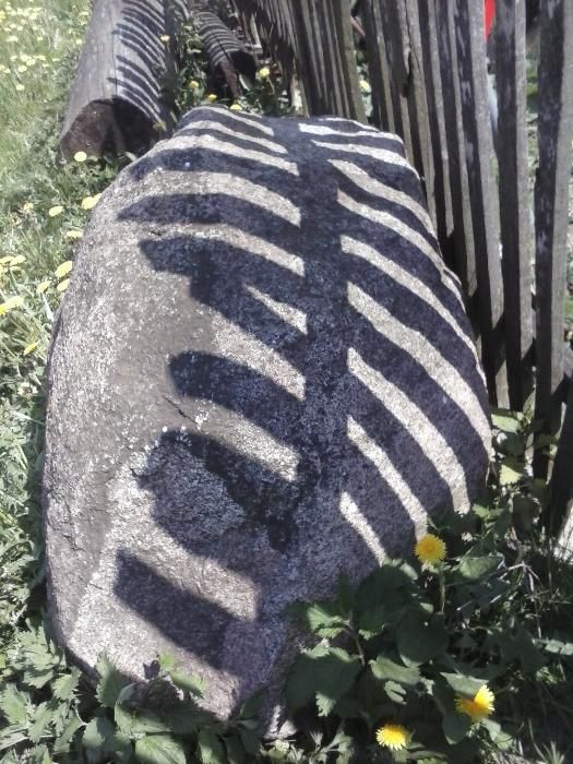 Kamień Głaz na skalniak