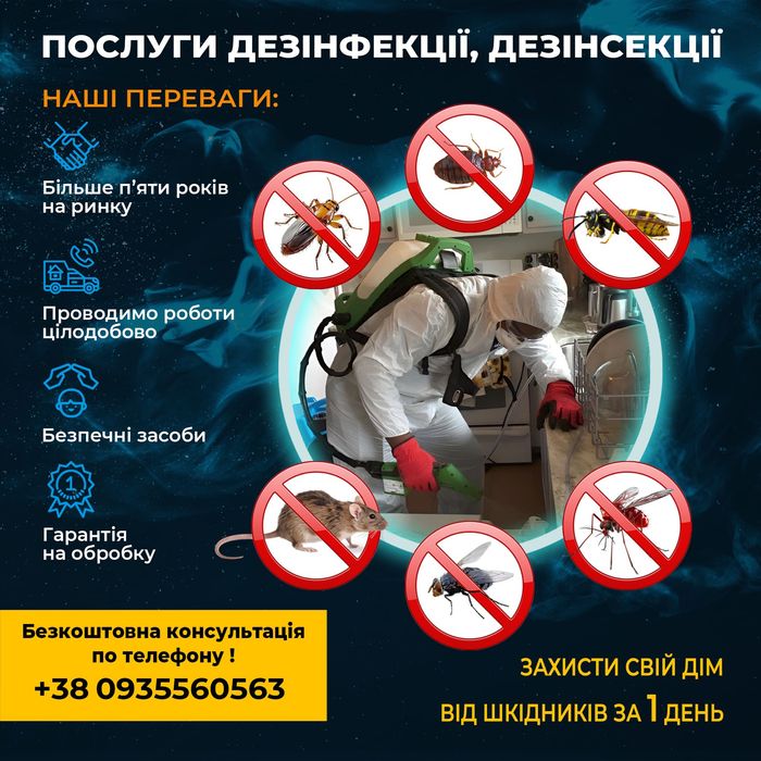 Винищуємо комах таргани клопи блохи та гризунів Безпечно Гарантія Київ