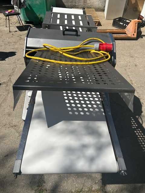 Skórowaczka Grasseli dwutaśmowa