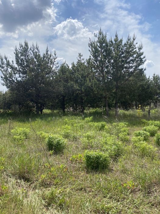 Ділянка 10 соток