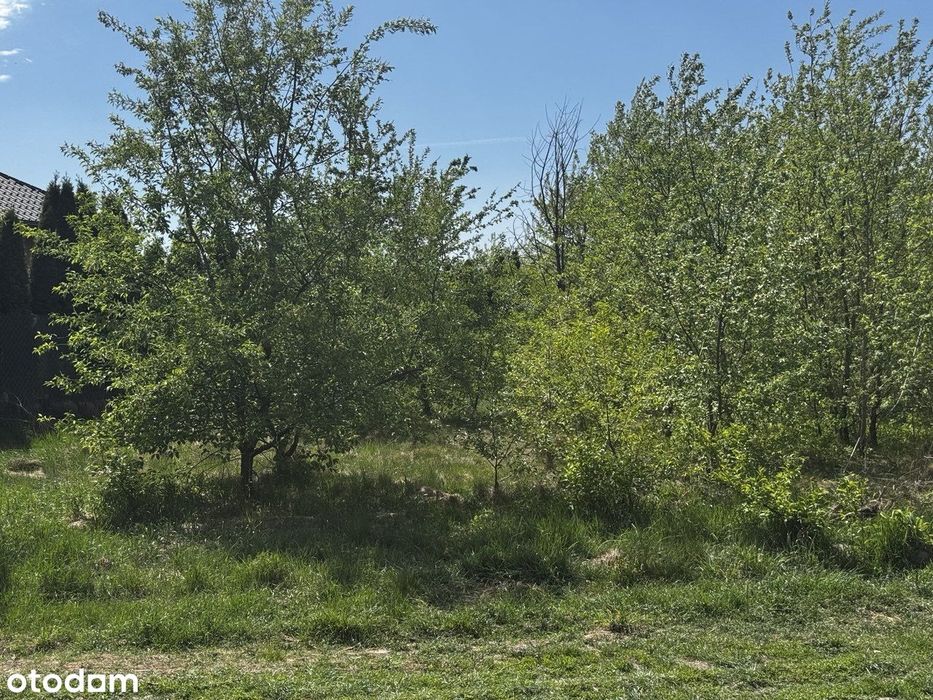 Działka budowlana 1207 m²_Świetne wymiary_ Suszno, gm. Włodawa