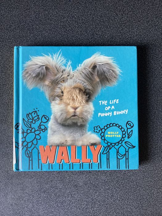 Książka anglojęzyczna Wally The life of a punny bunny