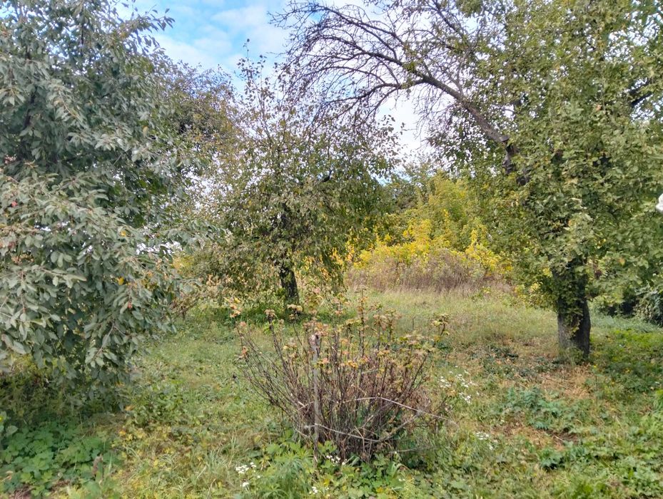 Продам будинок в селі Постольне 14 км. від міста Суми