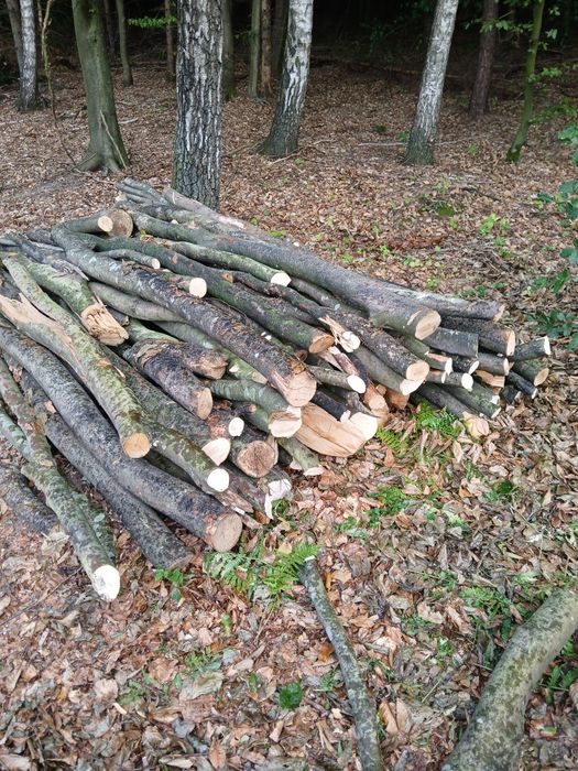 Sprzedam drewno opałowe bukowe