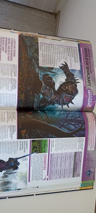 Guinness World Records 2011 Edycja dla Graczy