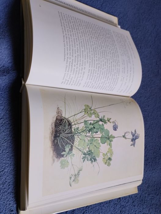 Die Dürer Zeichnungen der Albertina. Walther Koschatzky, Alice Strobl