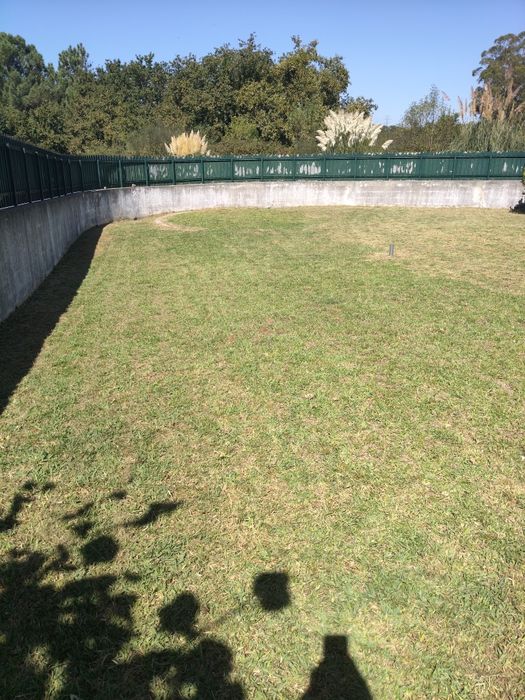 Jardinagem e Limpeza de terrenos