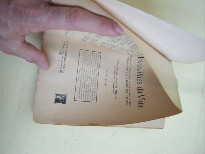 Maravilhas da Vida de Ernesto Haeckel