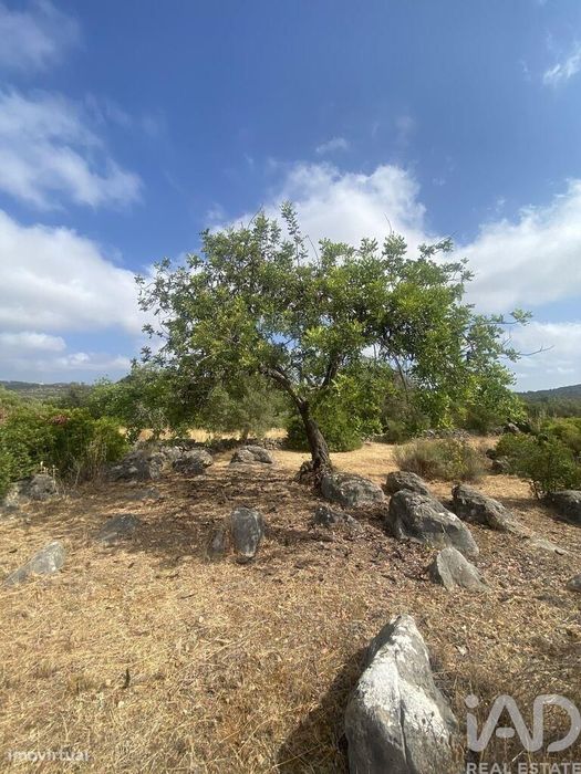 Terreno em Santa Catarina da Fonte do Bispo de 10000,00 m2