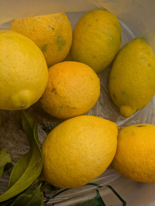 Limoes biológicos/kg