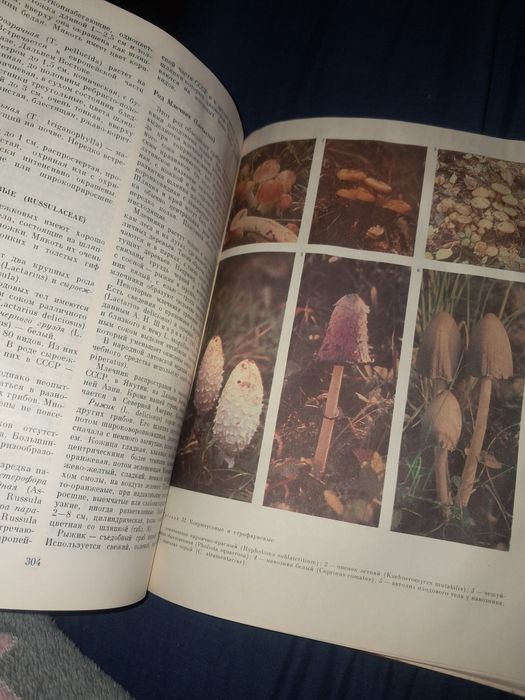 Книга" Мир растений "1991 року