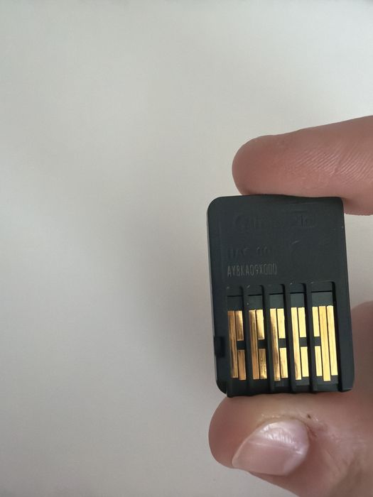 Gra The Witcher Wild Hunt