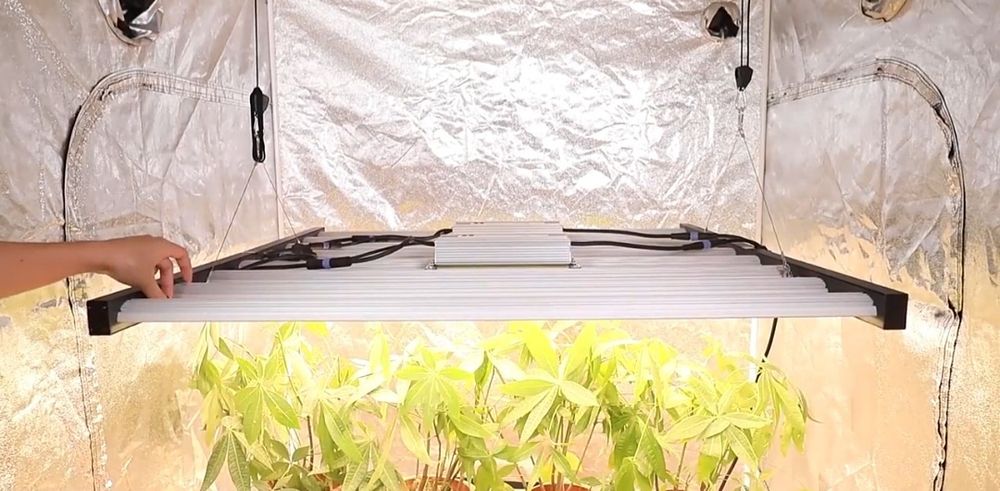 Phlizon Última Geração diodos Led 640w Samsung 281b