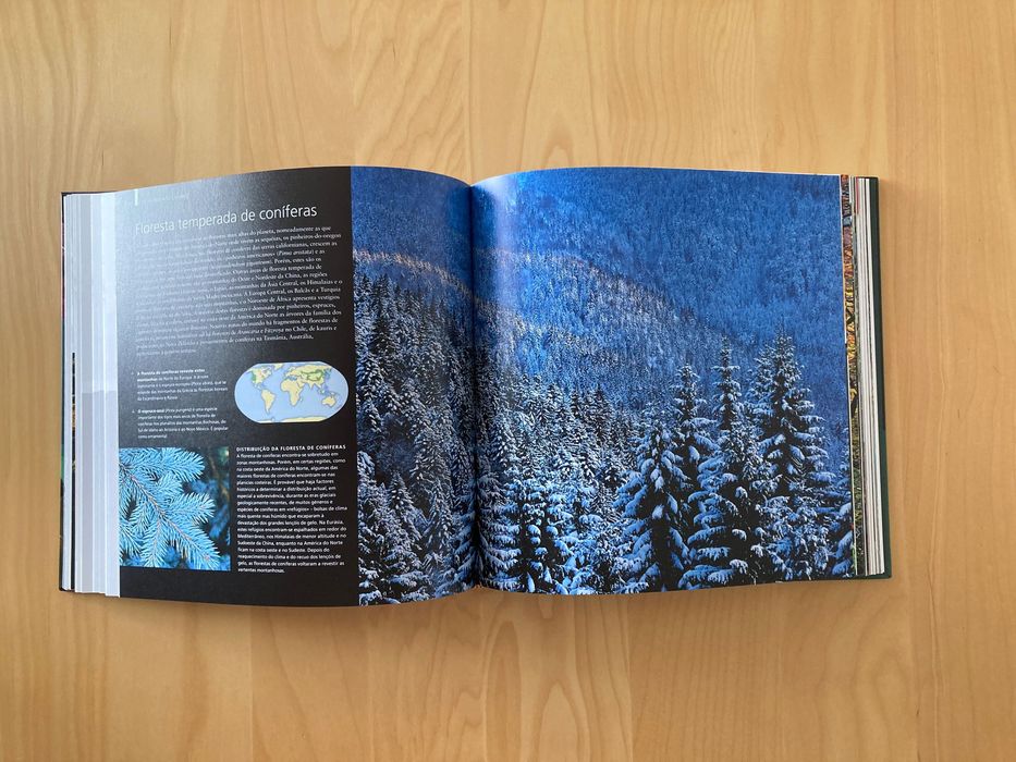 Enciclopédia visual, 6 volumes capa dura, excelente para crianças