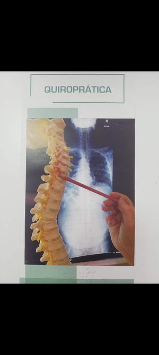 Terapeuta, Massagens ao Domicílio, Hotéis