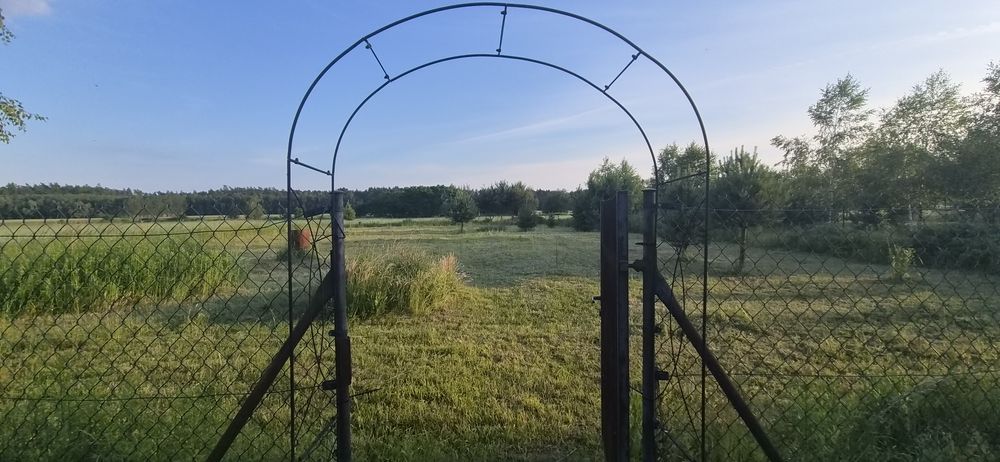 Działka budowlana 1467 m² | Warunki zabudowy | Ciućkowo | Bezpośrednio od właściciela - Widok 5