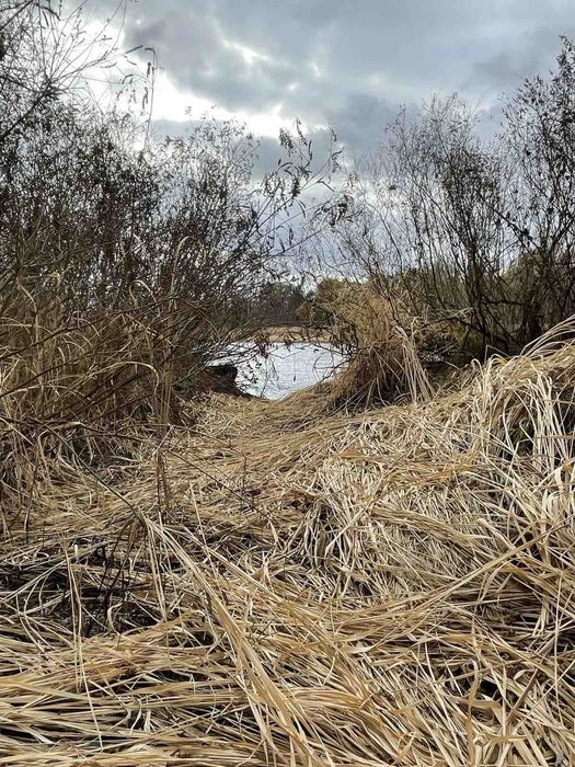 Земельна ділянка ,участок на річці Дніпро , 50 соток ,приватизовано