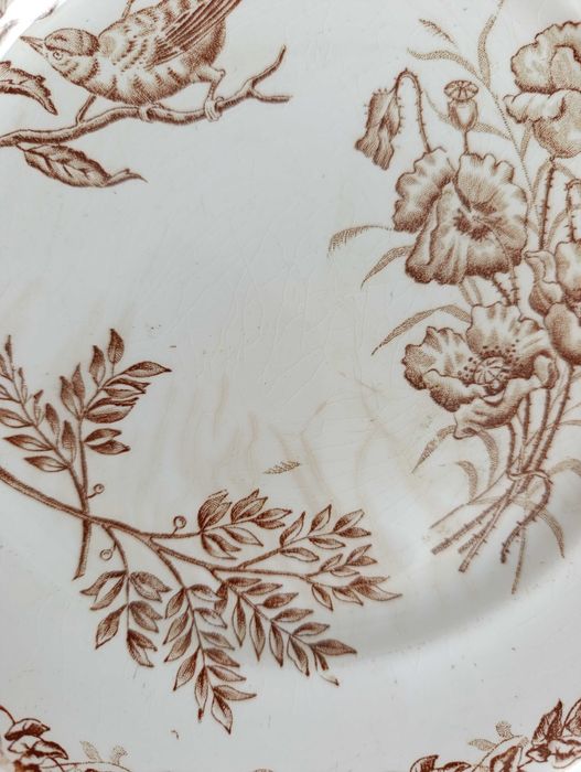 Pratos Faiança Pássaros