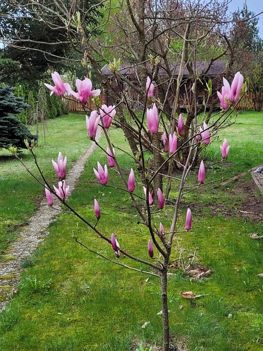 Wyjątkowy dom w sercu Suwalszczyzny – Giby