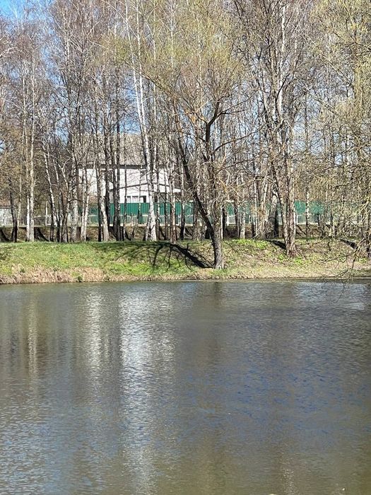 Продаж будинку біля лісу