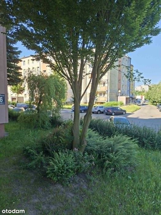 Przytulne mieszkanie z balkonem w Częstochowie - Widok 5