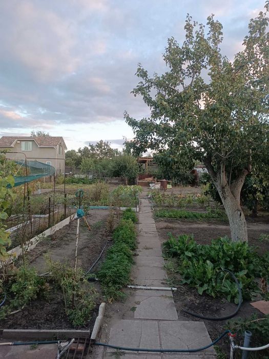 House by the address (area 80 m²) - Atlanta.ua - photo 2