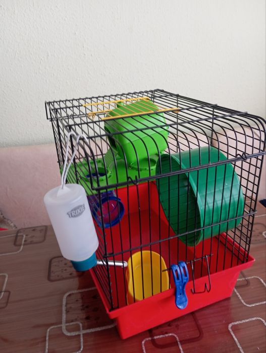 Продам клініку для хомячка.