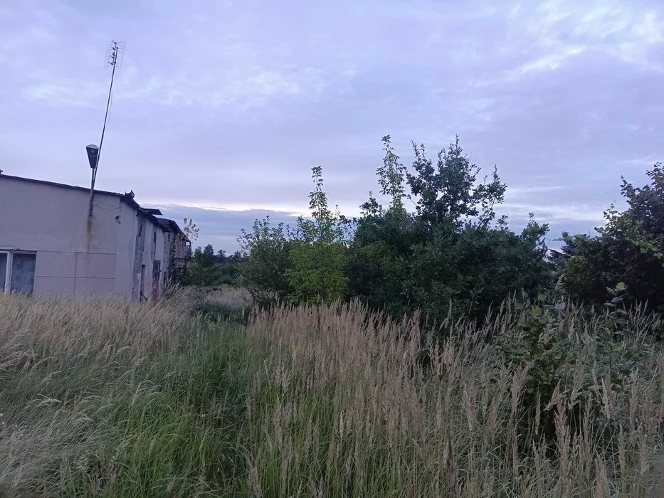 Działka Dmosin Drugi woj .łódzkie - Widok 3