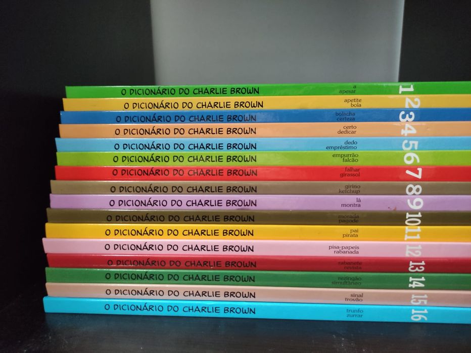 Coleção Enciclopédias/Dicionários de Português - Inglês