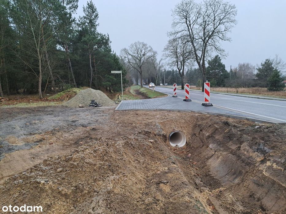 Puszcza Notecka Tanie działki budowlane bezpośrednio 50km od Poznania