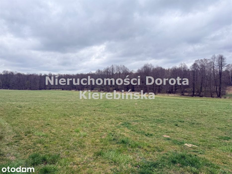 Działka z dosępem do rzeki- Rzeczyca - Widok 6