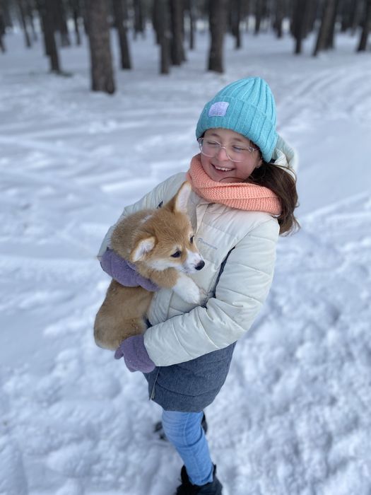 Малюки Вельш Корг