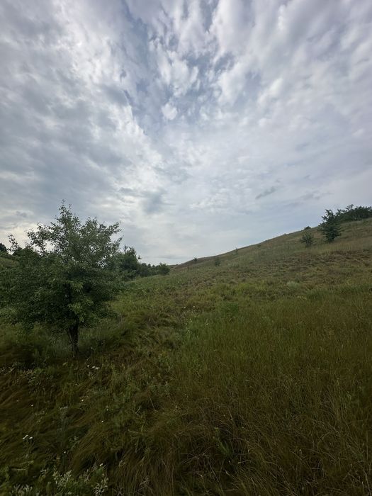 Земельна ділянка Березова 1 ГА