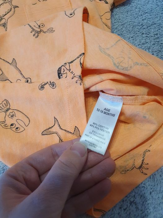 Koszulka 3x, morskie zwierzęta, paski, lody, Matalan, George, r.80