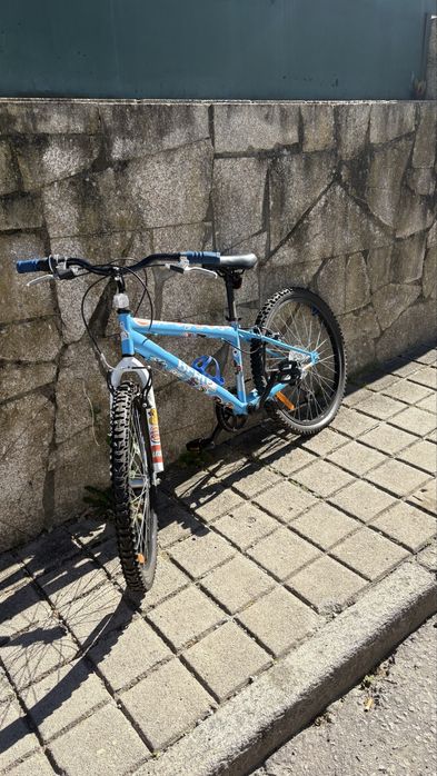 Bicicleta berg aro 24