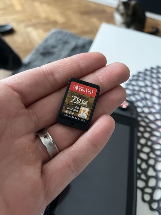 Nintendo Switch + Zelda