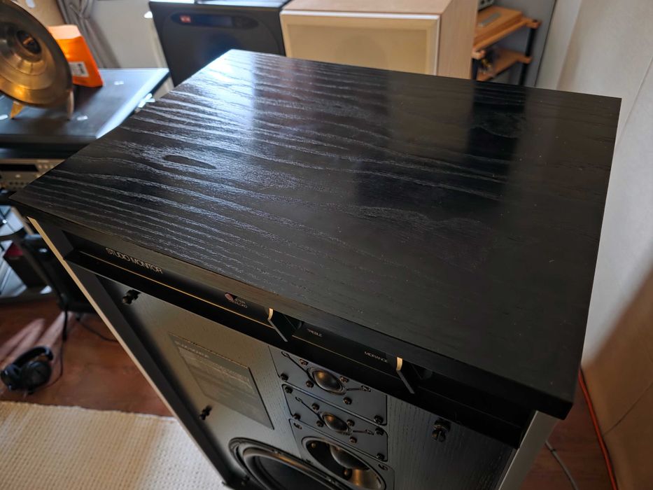 Tandberg Studio Monitor