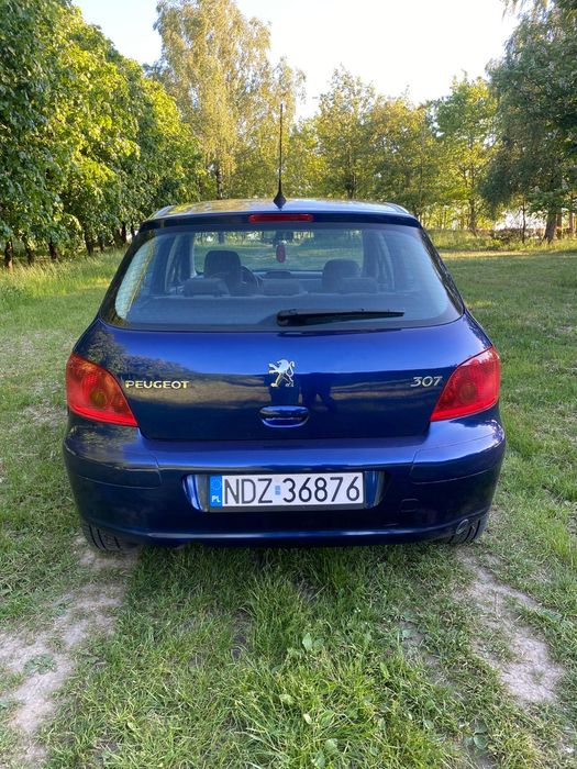 Peugeot 307 2.0 Lpg