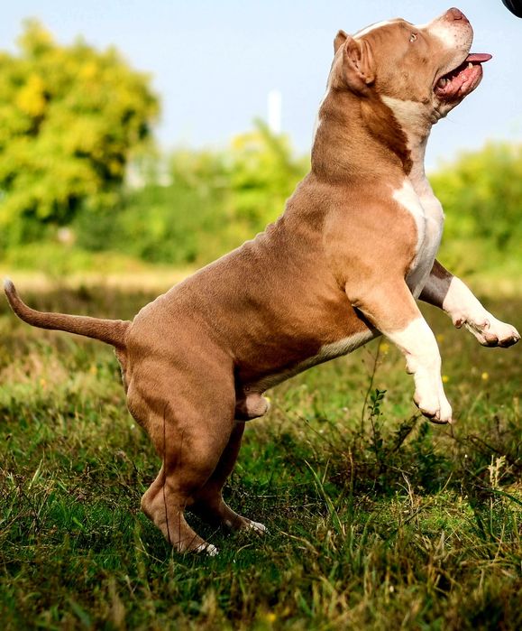 Відкритий для В'язки