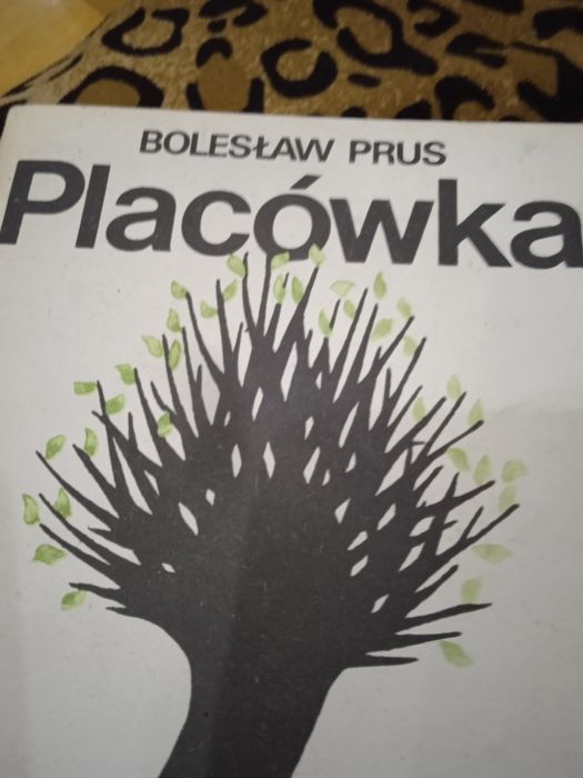 Lektura Placowka i inne