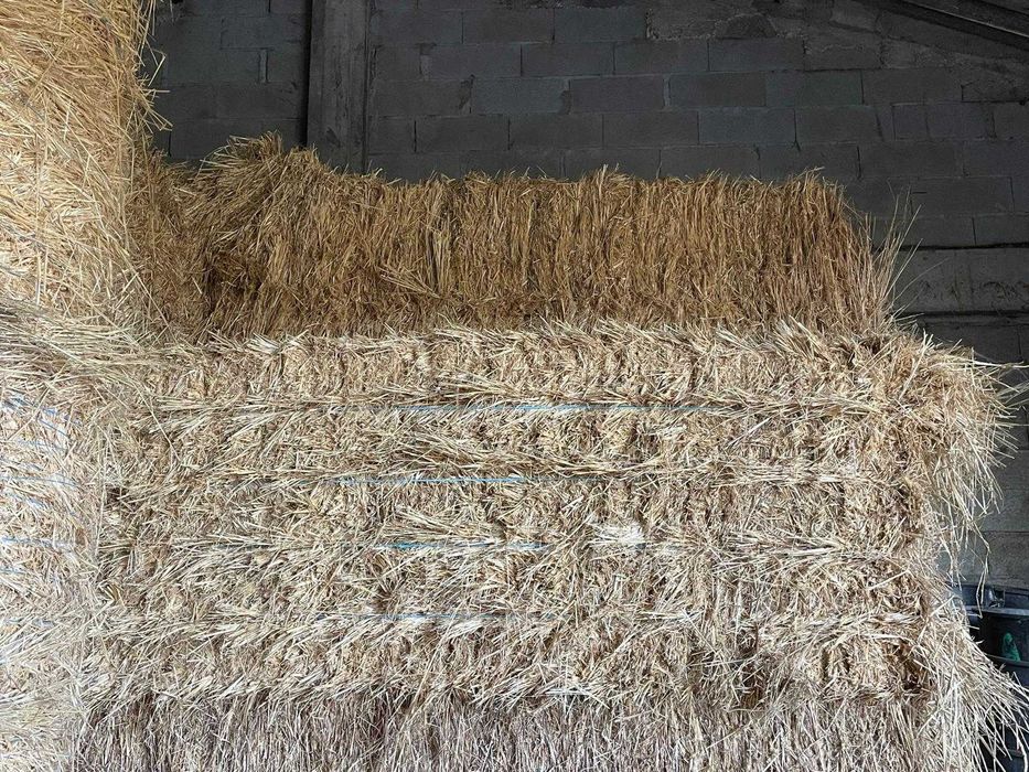 Fardos de Aveia misturado com Centeio em Borracha