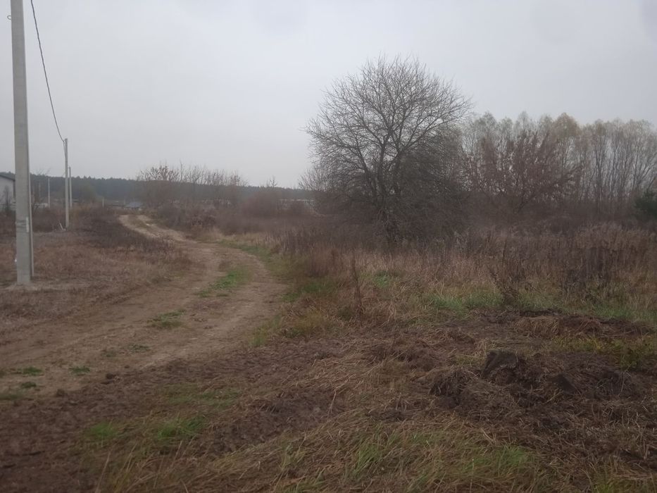 Юрівка. Ділянка 10сот., (вихід до лісосмуги)